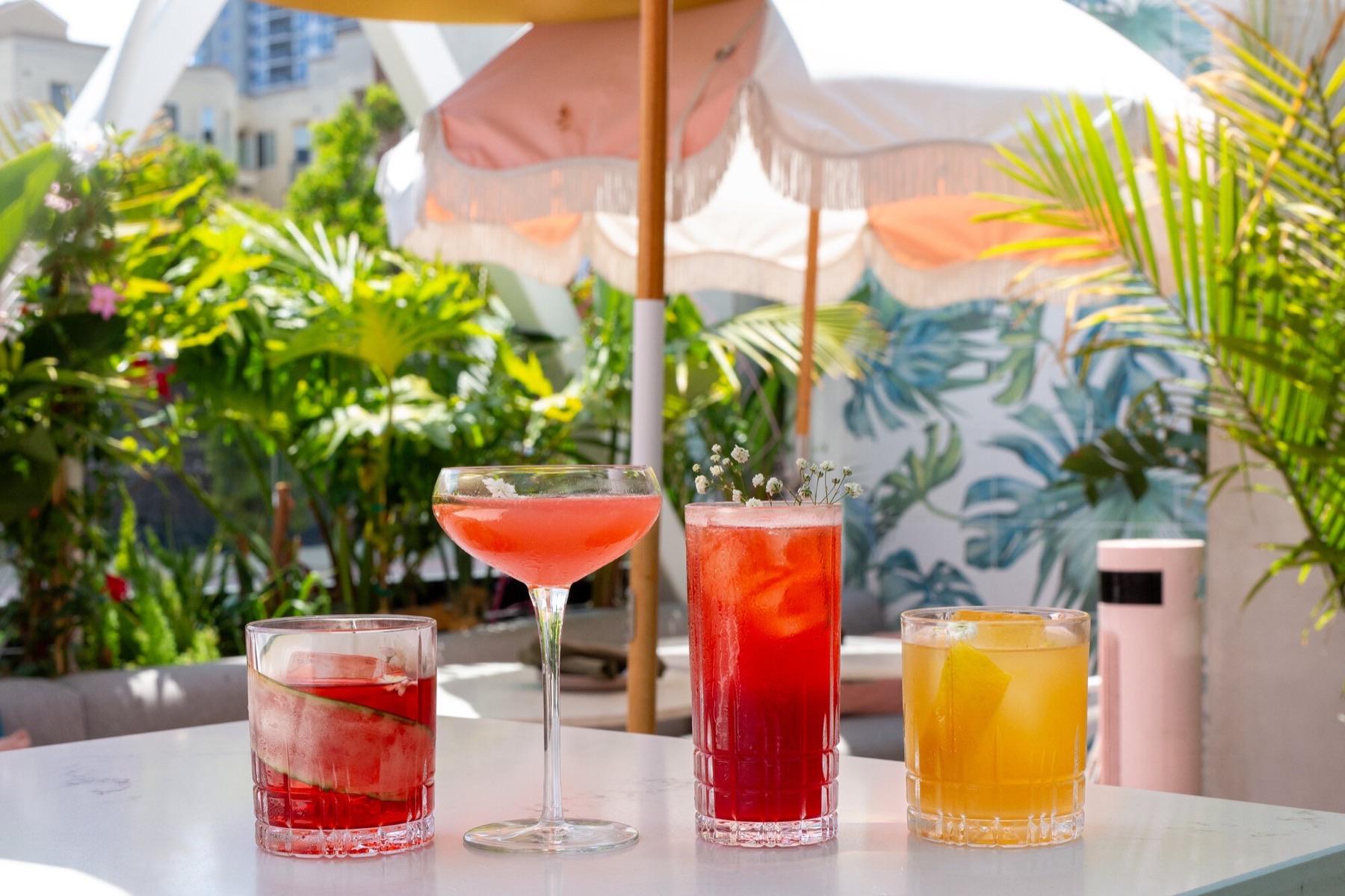 Best Happy Hour in Little Italy San Diego | 2026 Guide